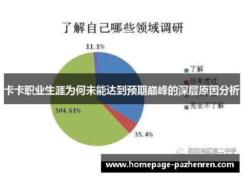 卡卡职业生涯为何未能达到预期巅峰的深层原因分析