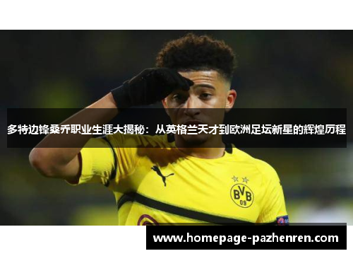 多特边锋桑乔职业生涯大揭秘：从英格兰天才到欧洲足坛新星的辉煌历程