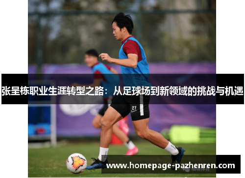 张呈栋职业生涯转型之路:从足球场到新领域的挑战与机遇