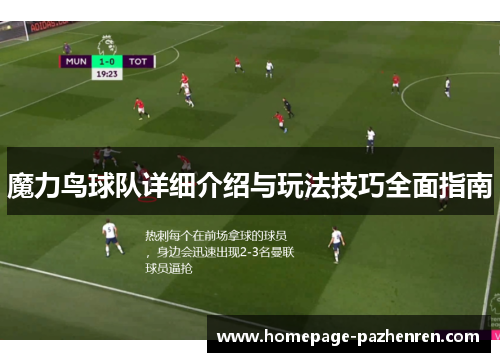 魔力鸟球队详细介绍与玩法技巧全面指南