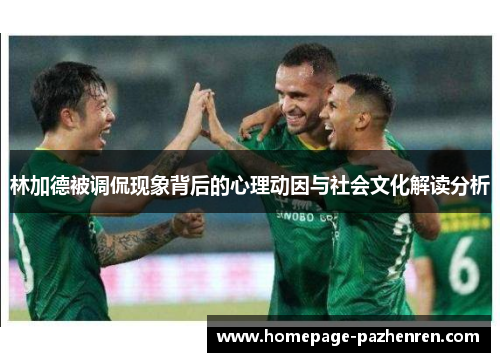 林加德被调侃现象背后的心理动因与社会文化解读分析 林加德被调侃现象背后的心理动因与社会文化解读分析