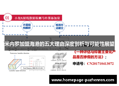 米内罗加盟海港的五大理由深度剖析与可能性展望
