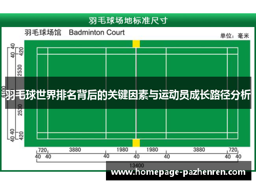羽毛球世界排名背后的关键因素与运动员成长路径分析